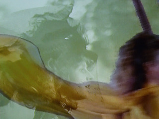 Ulrike Rosenbach, Puzzle Solution – Des Rätsels Lösung? Galerie Gisela Clement, Bonn