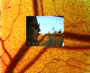 Reise ins Nirvana (2003), Videoskulptur
